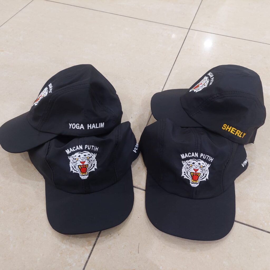 topi 2